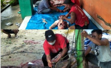 MTsN 1 Kendari Siap Bebagi 4 Ekor Hewan Kurban